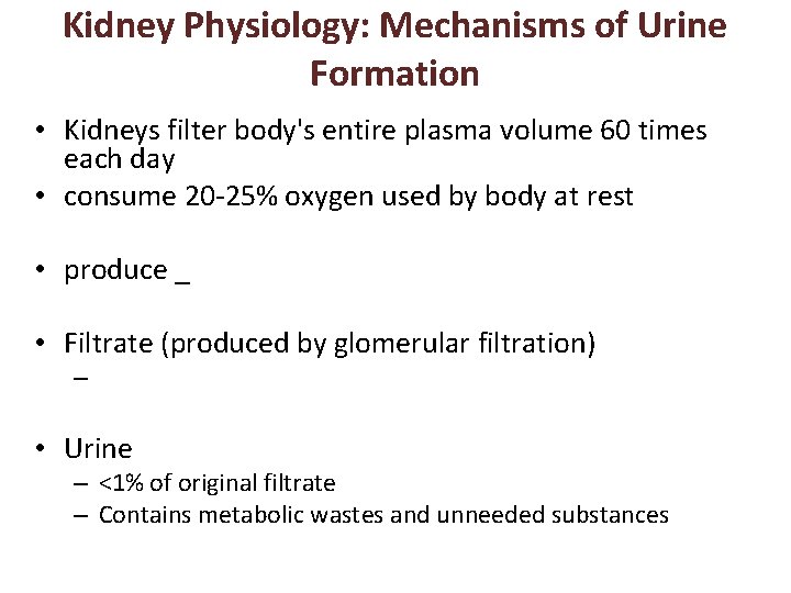 Kidney Physiology: Mechanisms of Urine Formation • Kidneys filter body's entire plasma volume 60