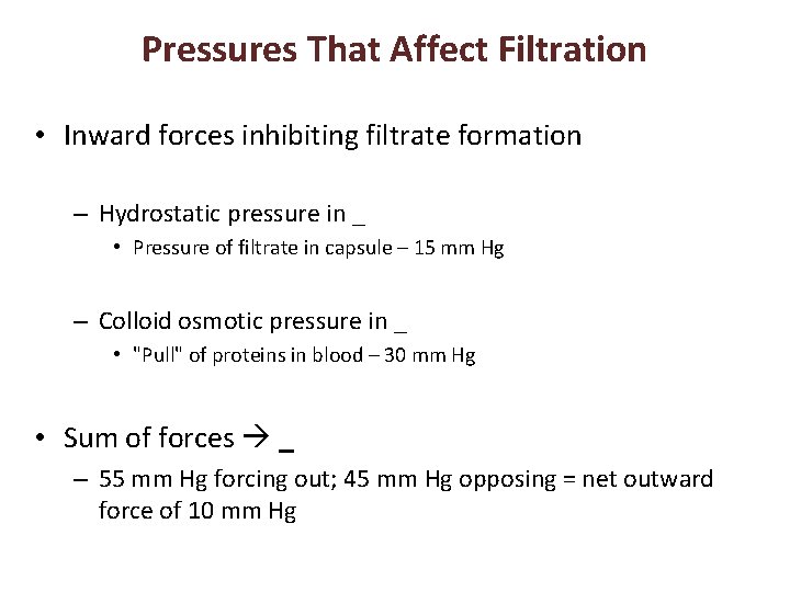 Pressures That Affect Filtration • Inward forces inhibiting filtrate formation – Hydrostatic pressure in