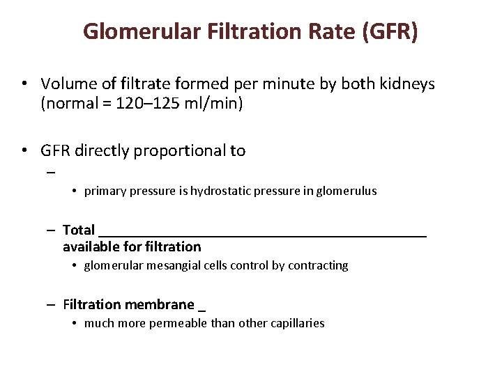 Glomerular Filtration Rate (GFR) • Volume of filtrate formed per minute by both kidneys