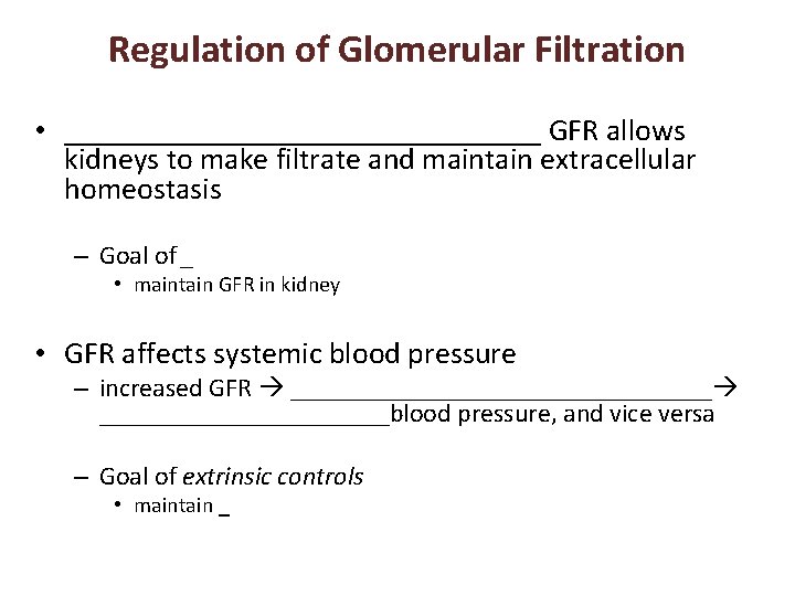 Regulation of Glomerular Filtration • ________________ GFR allows kidneys to make filtrate and maintain