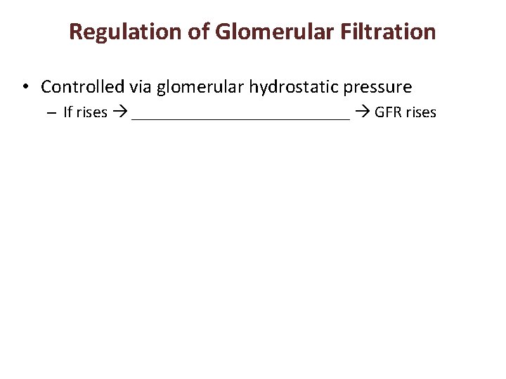 Regulation of Glomerular Filtration • Controlled via glomerular hydrostatic pressure – If rises _____________