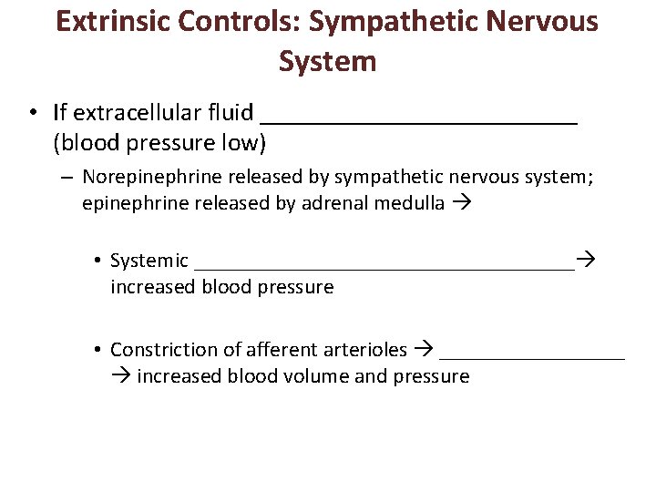 Extrinsic Controls: Sympathetic Nervous System • If extracellular fluid _____________ (blood pressure low) –