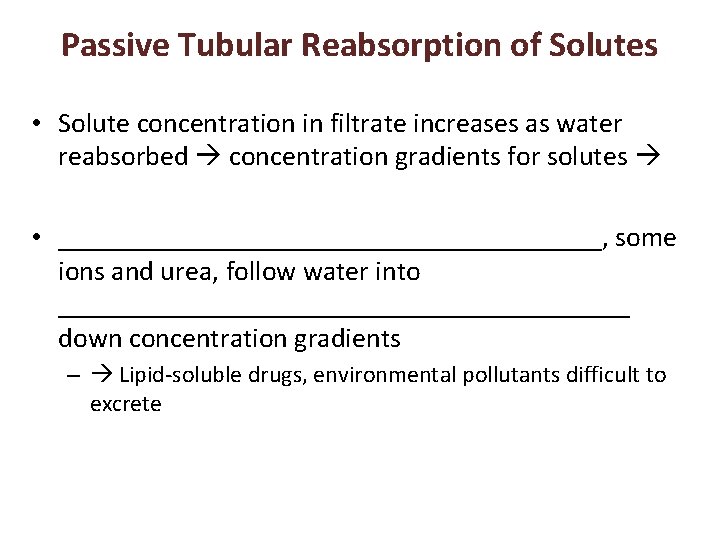 Passive Tubular Reabsorption of Solutes • Solute concentration in filtrate increases as water reabsorbed