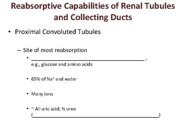 Reabsorptive Capabilities of Renal Tubules and Collecting Ducts • Proximal Convoluted Tubules – Site