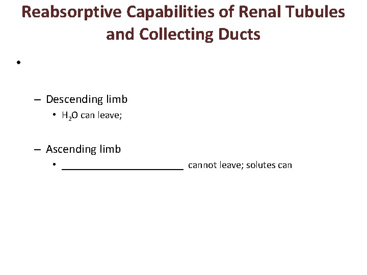 Reabsorptive Capabilities of Renal Tubules and Collecting Ducts • – Descending limb • H
