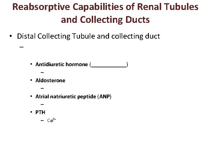 Reabsorptive Capabilities of Renal Tubules and Collecting Ducts • Distal Collecting Tubule and collecting