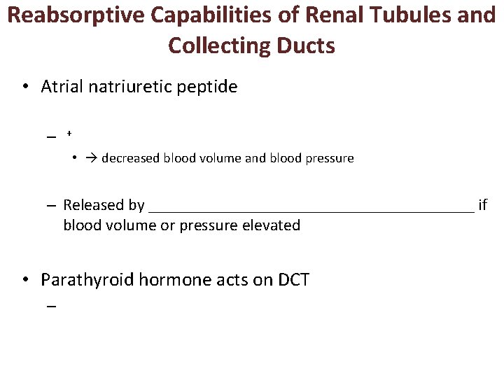 Reabsorptive Capabilities of Renal Tubules and Collecting Ducts • Atrial natriuretic peptide – +