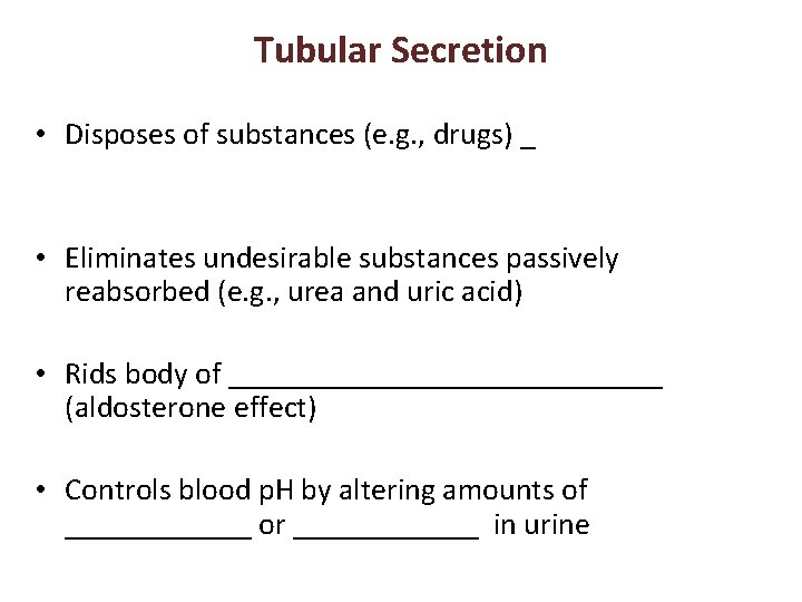 Tubular Secretion • Disposes of substances (e. g. , drugs) _ • Eliminates undesirable