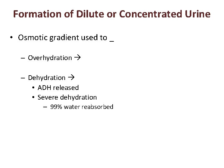 Formation of Dilute or Concentrated Urine • Osmotic gradient used to _ – Overhydration