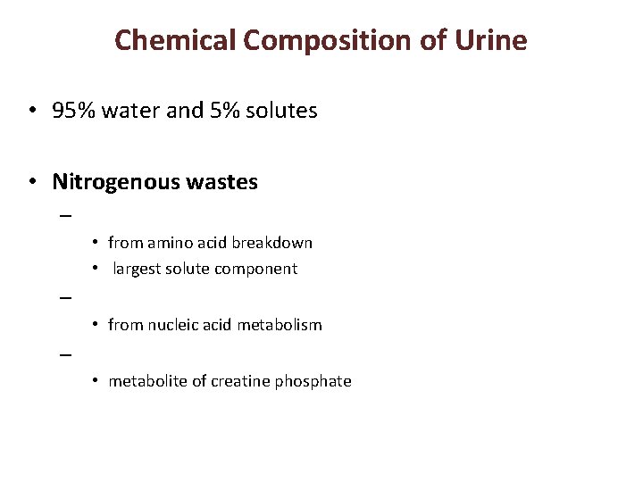 Chemical Composition of Urine • 95% water and 5% solutes • Nitrogenous wastes –