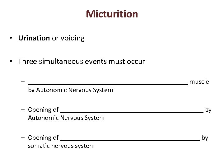 Micturition • Urination or voiding • Three simultaneous events must occur – ________________________ muscle