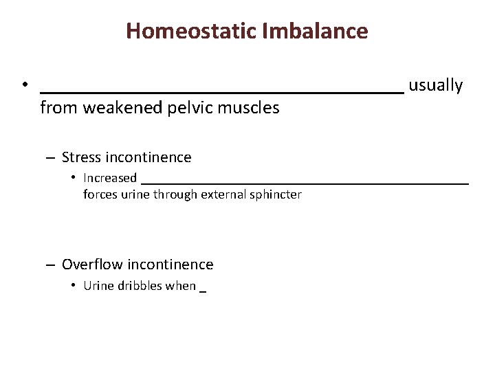 Homeostatic Imbalance • ___________________ usually from weakened pelvic muscles – Stress incontinence • Increased