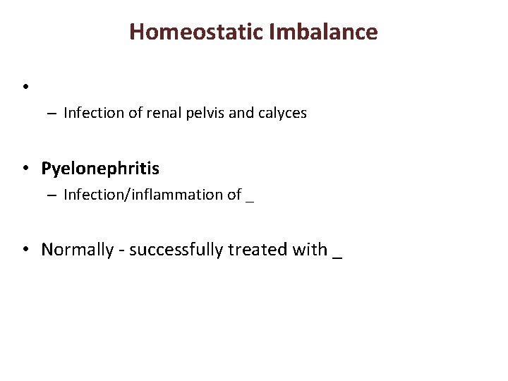 Homeostatic Imbalance • – Infection of renal pelvis and calyces • Pyelonephritis – Infection/inflammation