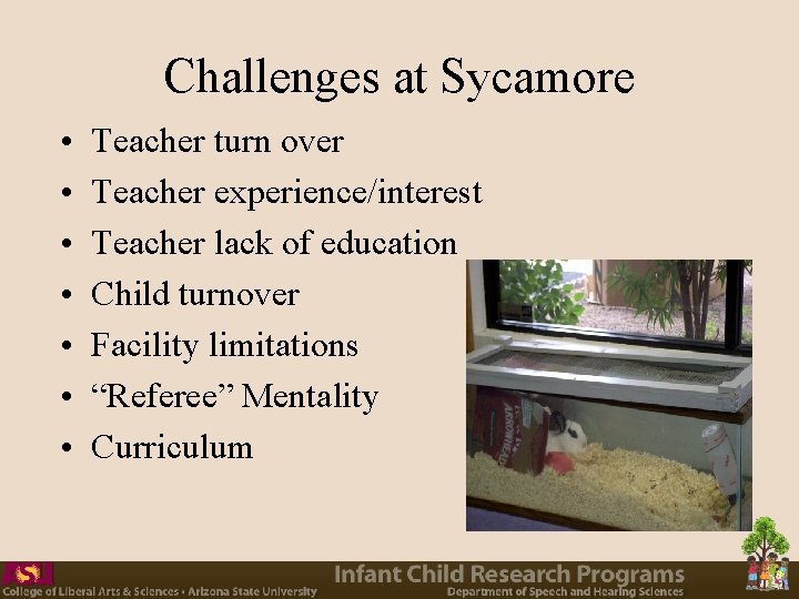 Challenges at Sycamore • • Teacher turn over Teacher experience/interest Teacher lack of education Challenges at Sycamore • • Teacher turn over Teacher experience/interest Teacher lack of education