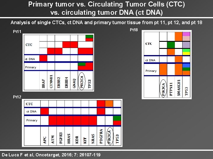 Primary tumor vs. Circulating Tumor Cells (CTC) vs. circulating tumor DNA (ct DNA) Analysis