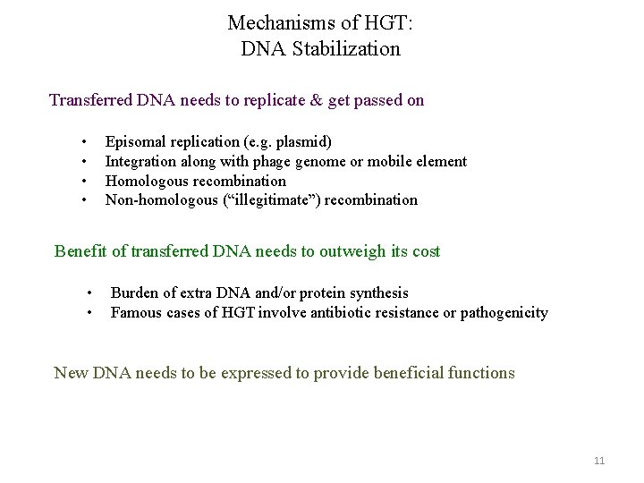 Mechanisms of HGT: DNA Stabilization Transferred DNA needs to replicate & get passed on