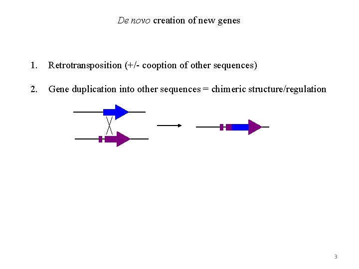 De novo creation of new genes 1. Retrotransposition (+/- cooption of other sequences) 2.