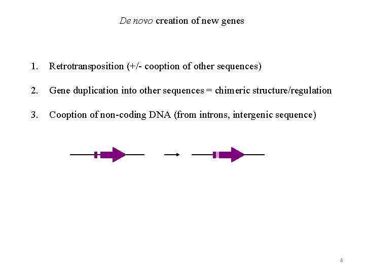 De novo creation of new genes 1. Retrotransposition (+/- cooption of other sequences) 2.