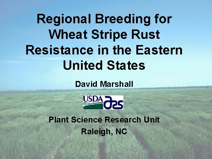 Regional Breeding for Wheat Stripe Rust Resistance in the Eastern United States David Marshall