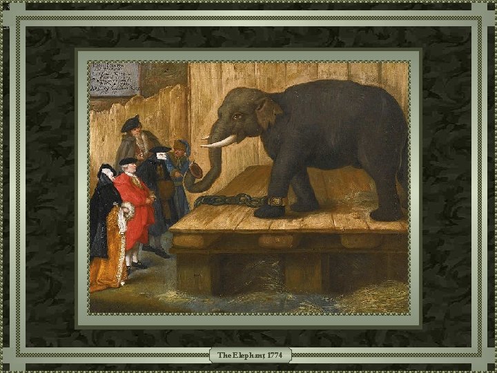 The Elephant, 1774 The Elephant, 1774
