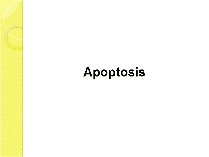 Apoptosis 