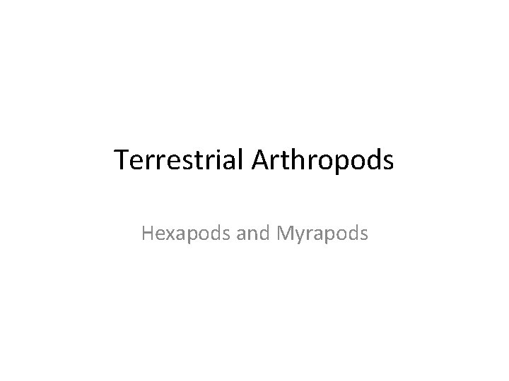 Terrestrial Arthropods Hexapods and Myrapods 
