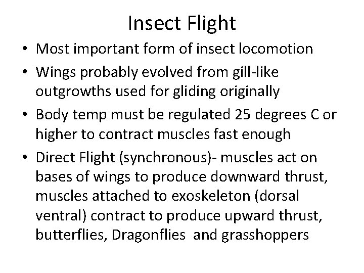 Insect Flight • Most important form of insect locomotion • Wings probably evolved from