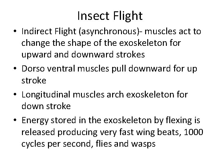 Insect Flight • Indirect Flight (asynchronous)- muscles act to change the shape of the