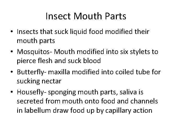 Insect Mouth Parts • Insects that suck liquid food modified their mouth parts •