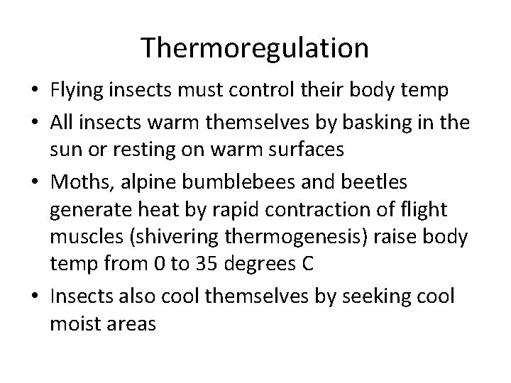 Thermoregulation • Flying insects must control their body temp • All insects warm themselves