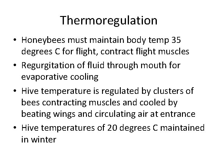 Thermoregulation • Honeybees must maintain body temp 35 degrees C for flight, contract flight