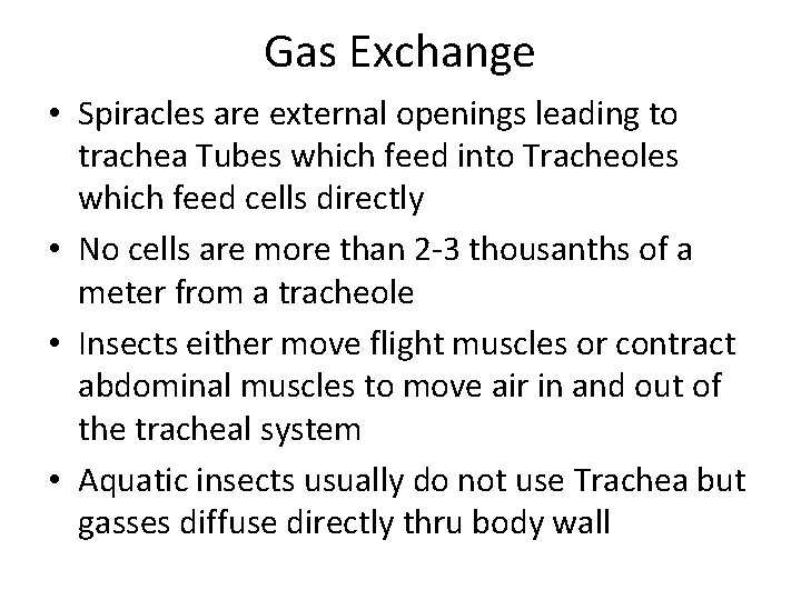 Gas Exchange • Spiracles are external openings leading to trachea Tubes which feed into