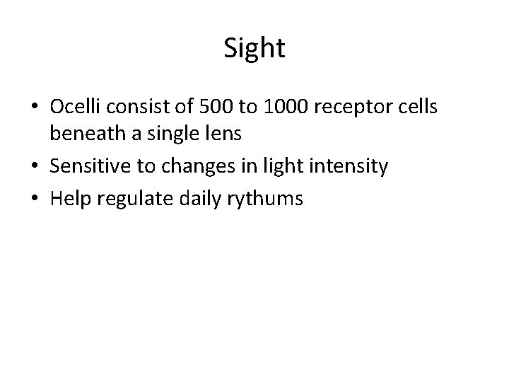 Sight • Ocelli consist of 500 to 1000 receptor cells beneath a single lens