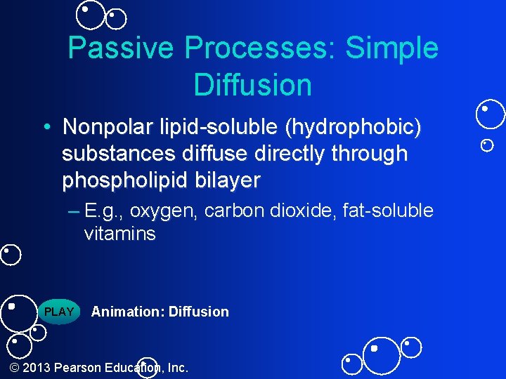 Passive Processes: Simple Diffusion • Nonpolar lipid-soluble (hydrophobic) substances diffuse directly through phospholipid bilayer