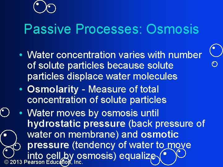 Passive Processes: Osmosis • Water concentration varies with number of solute particles because solute