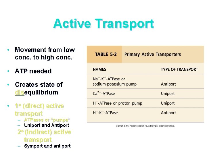 Active Transport • Movement from low conc. to high conc. • ATP needed •