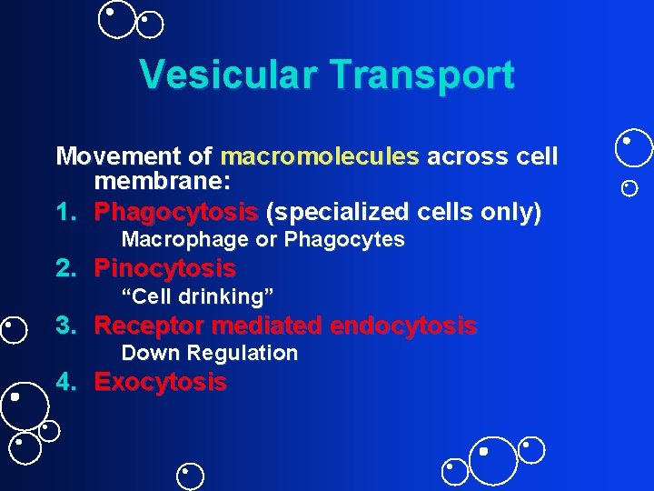 Vesicular Transport Movement of macromolecules across cell membrane: 1. Phagocytosis (specialized cells only) Macrophage