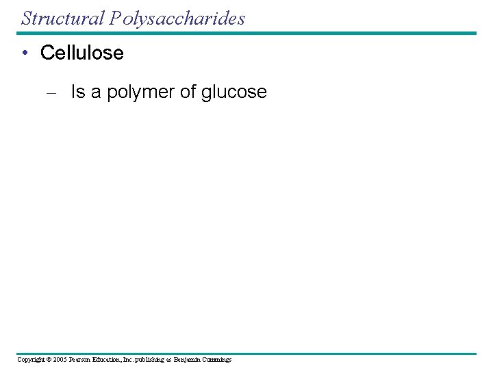 Structural Polysaccharides • Cellulose – Is a polymer of glucose Copyright © 2005 Pearson