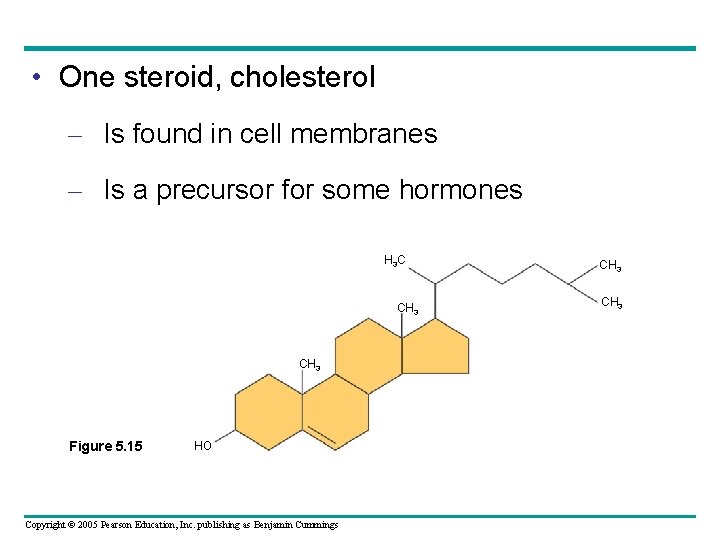  • One steroid, cholesterol – Is found in cell membranes – Is a