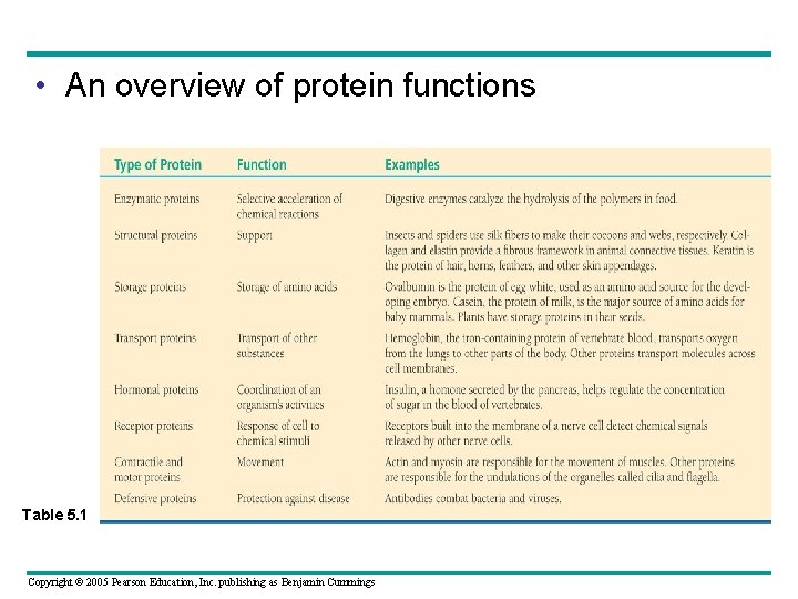  • An overview of protein functions Table 5. 1 Copyright © 2005 Pearson