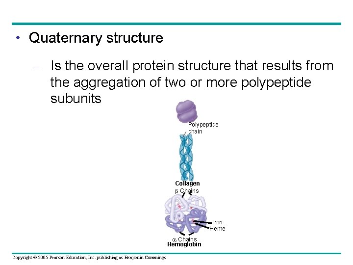  • Quaternary structure – Is the overall protein structure that results from the