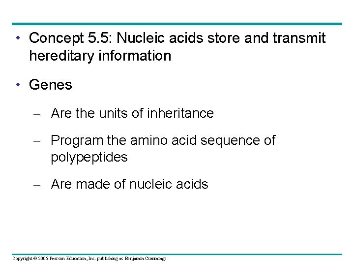  • Concept 5. 5: Nucleic acids store and transmit hereditary information • Genes