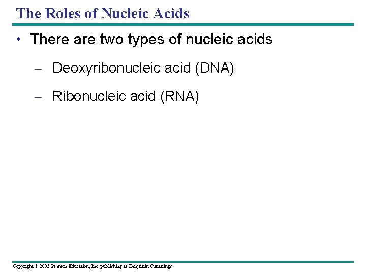 The Roles of Nucleic Acids • There are two types of nucleic acids –