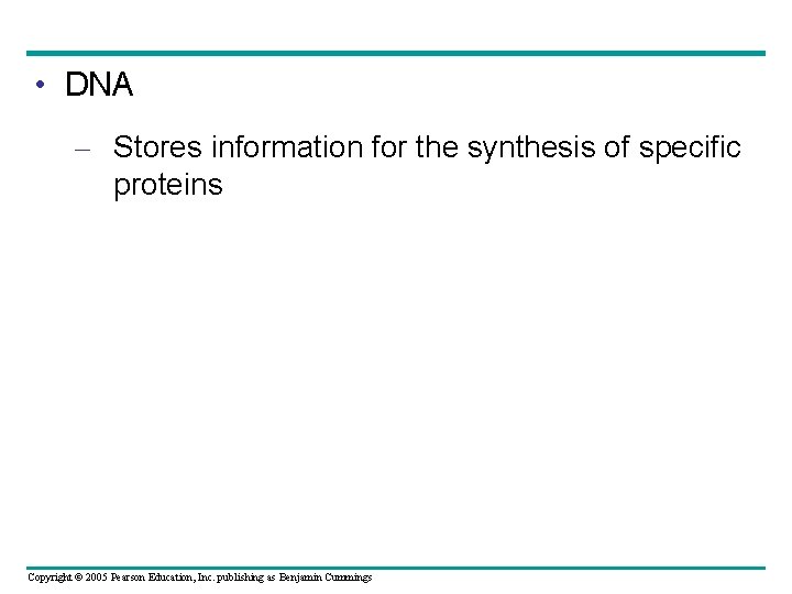  • DNA – Stores information for the synthesis of specific proteins Copyright ©