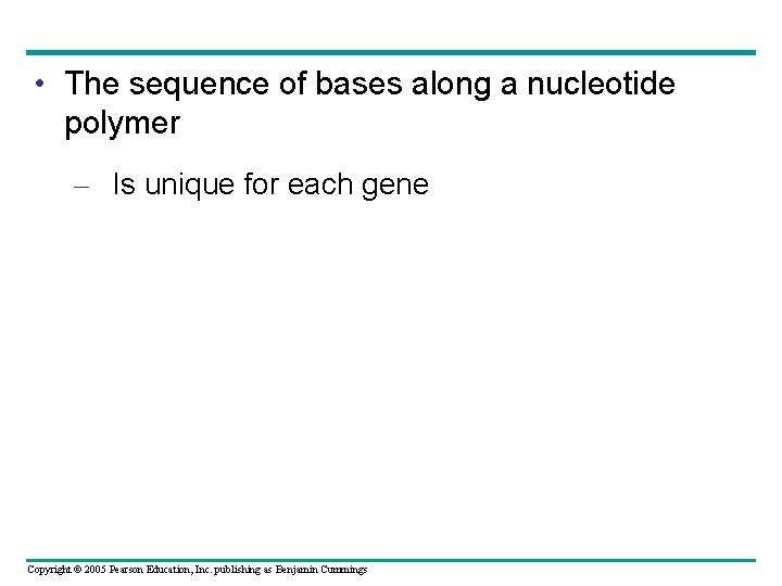  • The sequence of bases along a nucleotide polymer – Is unique for