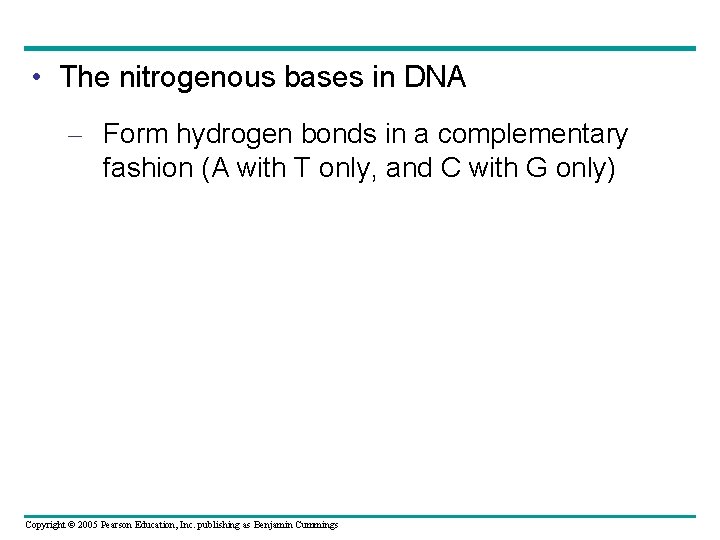  • The nitrogenous bases in DNA – Form hydrogen bonds in a complementary