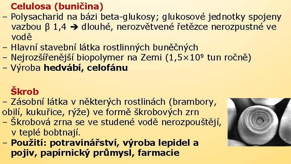 Celulosa (buničina) – Polysacharid na bázi beta-glukosy; glukosové jednotky spojeny vazbou β 1, 4