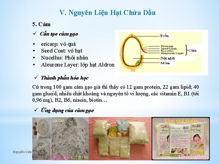 V. Nguyên Liệu Hạt Chứa Dầu 5. Cám ü Cấu tạo cám gạo •