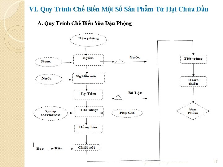 VI. Quy Trình Chế Biến Một Số Sản Phẩm Từ Hạt Chứa Dầu A.