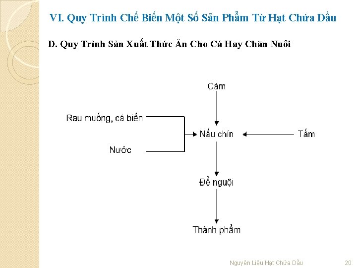 VI. Quy Trình Chế Biến Một Số Sản Phẩm Từ Hạt Chứa Dầu D.